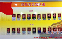 亚星集团党委开展党员承诺活动